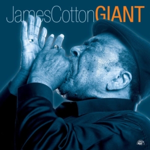 Cotton James - Giant in der Gruppe Övrigt /  bei Bengans Skivbutik AB (620057)