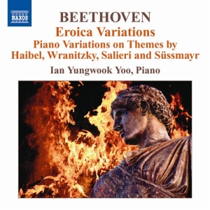 Beethoven - Piano Variations in der Gruppe Externt_Lager / Naxoslager bei Bengans Skivbutik AB (620656)