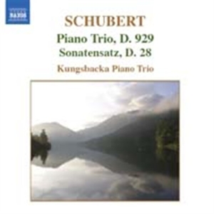 Schubert - Piano Trios in der Gruppe Externt_Lager / Naxoslager bei Bengans Skivbutik AB (621210)