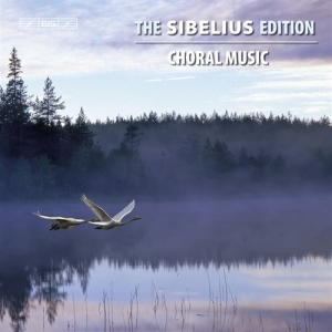 Sibelius - Edition Vol 11, Choral Music in der Gruppe Externt_Lager / Naxoslager bei Bengans Skivbutik AB (622366)