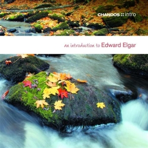 Elgar - An Introduction To in der Gruppe Externt_Lager / Naxoslager bei Bengans Skivbutik AB (624482)