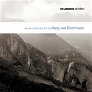 Beethoven - An Introduction To in der Gruppe CD bei Bengans Skivbutik AB (624483)