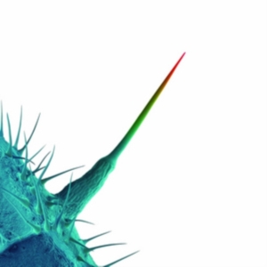 Blandade Artister - And I'll Scratch Yours (Songs By Pe in der Gruppe CD / Pop-Rock bei Bengans Skivbutik AB (626258)