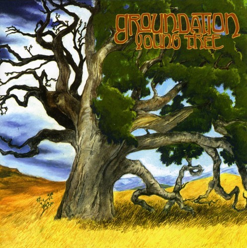Groundation - Young Tree in der Gruppe CD / Reggae bei Bengans Skivbutik AB (626993)