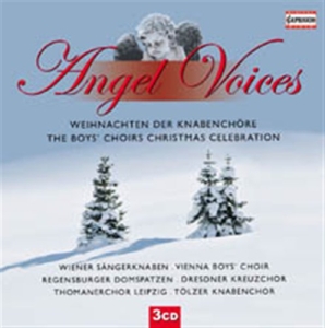 Angel Voices - The Boys Choirs Christmas in der Gruppe Externt_Lager / Naxoslager bei Bengans Skivbutik AB (627447)