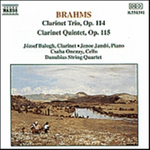 Brahms Johannes - Clarinett Trio & Quintet in der Gruppe Externt_Lager / Naxoslager bei Bengans Skivbutik AB (628929)