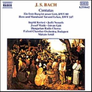 Bach Johann Sebastian - Cantatas in der Gruppe CD bei Bengans Skivbutik AB (629214)