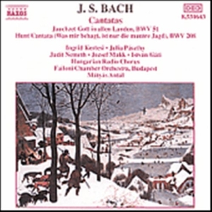 Bach Johann Sebastian - Cantatas in der Gruppe CD bei Bengans Skivbutik AB (629369)