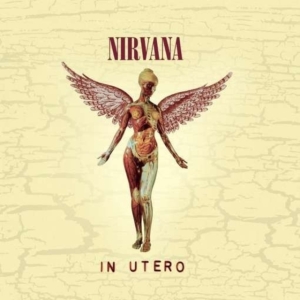 NIRVANA - IN UTERO - 20TH ANNIVERSARY in der Gruppe CD / Pop-Rock bei Bengans Skivbutik AB (629828)
