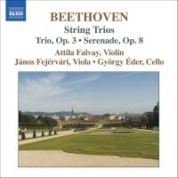 Beethoven - String Trios Volume 1 in der Gruppe CD bei Bengans Skivbutik AB (629929)