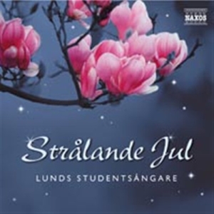 Various/ Lunds Studentsångare - Strålande Jul in der Gruppe CD bei Bengans Skivbutik AB (630066)