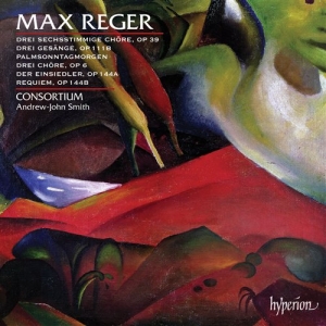Reger - Choral Music in der Gruppe CD / Klassiskt bei Bengans Skivbutik AB (630839)