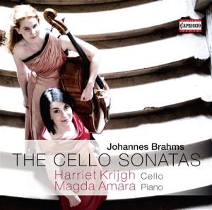 Brahms - Cello Sonatas in der Gruppe Externt_Lager / Naxoslager bei Bengans Skivbutik AB (631659)