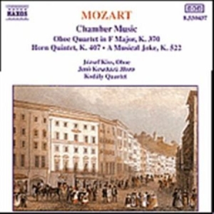 Mozart Wolfgang Amadeus - Chamber Music in der Gruppe CD / Klassiskt bei Bengans Skivbutik AB (638106)