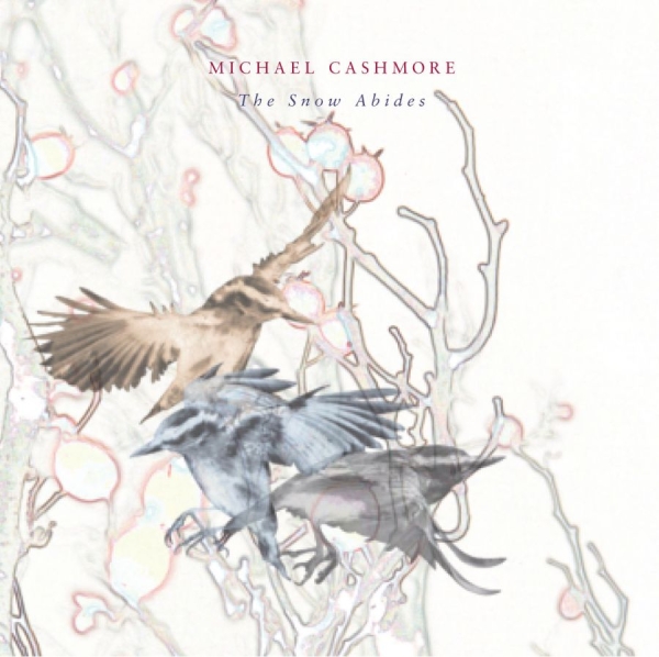 Cashmore Michael - Snow Abides in der Gruppe CD / Bestseller bei Bengans Skivbutik AB (640333)