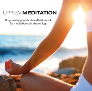 Pier Federici Alexandre - Upplev: Meditation in der Gruppe cdonuppdat / CDON Jazz klassiskt NX bei Bengans Skivbutik AB (640834)