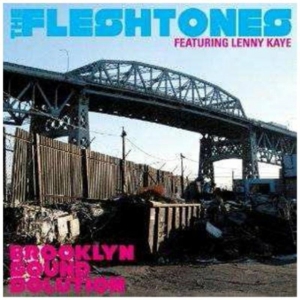 Fleshtones - Brooklyn Sound Solution in der Gruppe CD bei Bengans Skivbutik AB (641088)