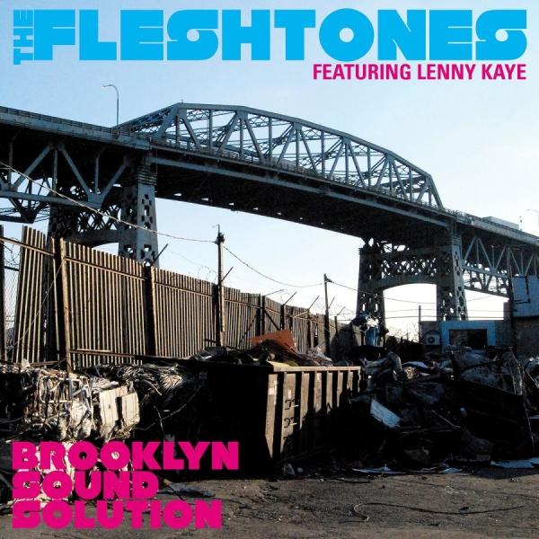 Fleshtones The - Brooklyn Sound Solution in der Gruppe CD / Rock bei Bengans Skivbutik AB (641088)