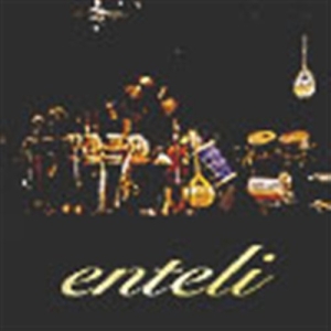Enteli - Enteli in der Gruppe CD / Elektroniskt,Svensk Folkmusik bei Bengans Skivbutik AB (643804)