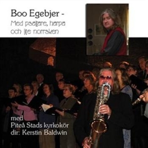 Egebjer Boo - Med Psaltare, Harpa Och Lite Norrsk in der Gruppe Externt_Lager / Naxoslager bei Bengans Skivbutik AB (645412)