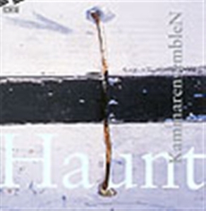 Kammarensemblen - Haunt in der Gruppe Externt_Lager / Naxoslager bei Bengans Skivbutik AB (645527)