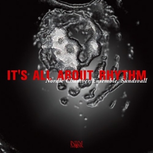 Nordic Chamber Ensemble - It's All About Rhythm in der Gruppe Externt_Lager / Naxoslager bei Bengans Skivbutik AB (645684)