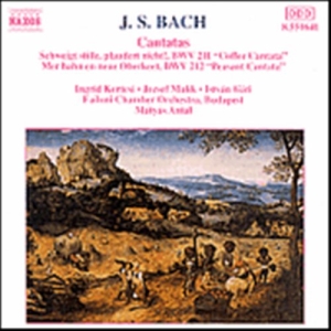 Bach Johann Sebastian - Cantatas in der Gruppe Externt_Lager / Naxoslager bei Bengans Skivbutik AB (647971)