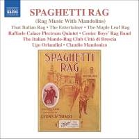 Various Composers - Rag Music With Mandolin in der Gruppe CD bei Bengans Skivbutik AB (649844)