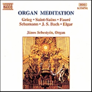Various - Organ Meditation in der Gruppe Externt_Lager / Naxoslager bei Bengans Skivbutik AB (650396)