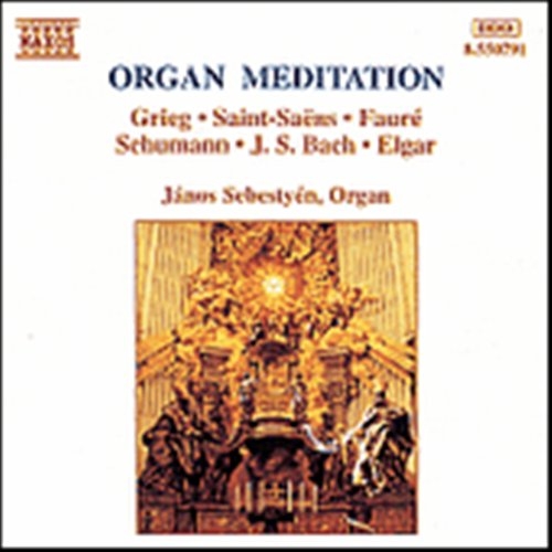 Various - Organ Meditation in der Gruppe CD / Klassiskt bei Bengans Skivbutik AB (650396)
