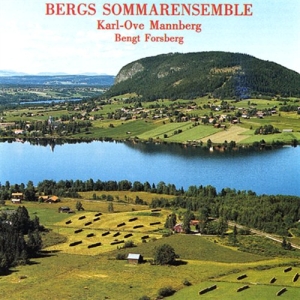Schnittke Finzi - Bergs Summer Ensamble in der Gruppe Externt_Lager / Naxoslager bei Bengans Skivbutik AB (651157)