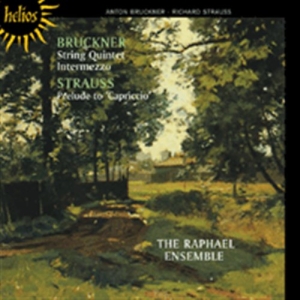 Bruckner - String Quartet in der Gruppe CD bei Bengans Skivbutik AB (654067)