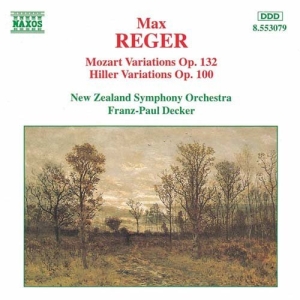Reger Max - Variation And Fuguss Opp 100 & in der Gruppe Externt_Lager / Naxoslager bei Bengans Skivbutik AB (655219)