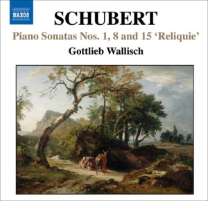 Schubert - Unfinished Sonatas in der Gruppe CD bei Bengans Skivbutik AB (656599)
