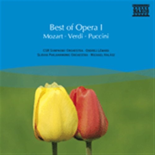 Various - Best Of Opera I in der Gruppe CD / Bestseller bei Bengans Skivbutik AB (658820)