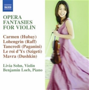 Various Composers - Violin Opera Fantasies in der Gruppe CD bei Bengans Skivbutik AB (658888)