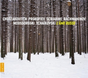 Various Composers - Russian Soul in der Gruppe CD bei Bengans Skivbutik AB (659039)