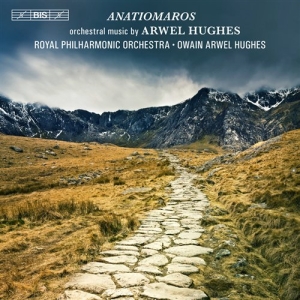 Hughes - Anatiomaros in der Gruppe Externt_Lager / Naxoslager bei Bengans Skivbutik AB (659976)