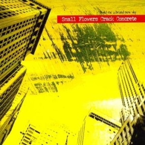 Small Flowers Crack Concrete - Build Me A Brand New Sky in der Gruppe CD / Pop bei Bengans Skivbutik AB (661481)