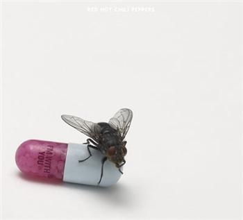 Red Hot Chili Peppers - I'm With You in der Gruppe CD / Pop-Rock bei Bengans Skivbutik AB (662005)