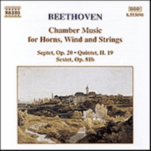 Beethoven Ludwig Van - Chamber Music in der Gruppe CD bei Bengans Skivbutik AB (662104)