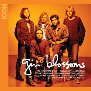 Gin Blossoms - Icon in der Gruppe CD / Pop-Rock bei Bengans Skivbutik AB (662584)