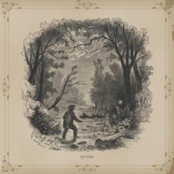 Vetiver - Vetiver in der Gruppe CD / Bestseller bei Bengans Skivbutik AB (664192)