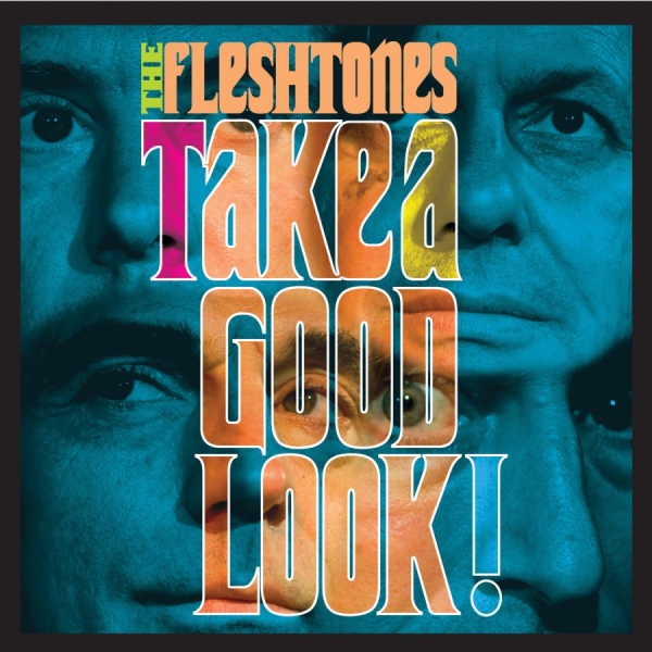 Fleshtones The - Take A Good Look in der Gruppe CD / Rock bei Bengans Skivbutik AB (666872)
