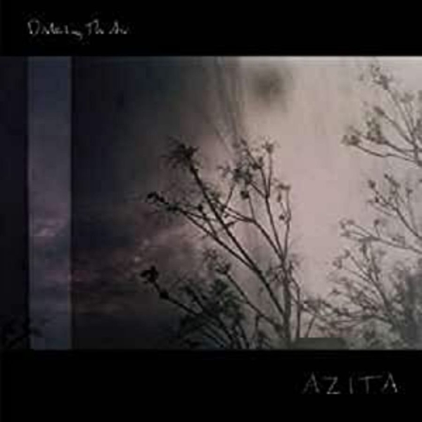 Azita - Disturbing The Air in der Gruppe VINYL / Bestseller bei Bengans Skivbutik AB (671939)