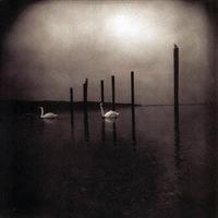 Om - Conference Of The Birds in der Gruppe CD / Pop-Rock bei Bengans Skivbutik AB (677712)