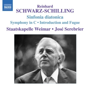 Schwarz-Schilling - Sinfonie In C in der Gruppe Externt_Lager / Naxoslager bei Bengans Skivbutik AB (680293)