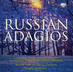 Various Composers - Russian Adagios in der Gruppe CD bei Bengans Skivbutik AB (684951)