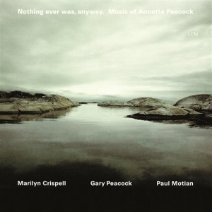 Peacock Annette - Nothing Ever Was, Anyway. Music Of in der Gruppe CD bei Bengans Skivbutik AB (685134)