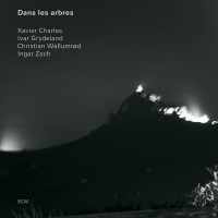 Dans Les Arbres - Dans Les Arbres in der Gruppe CD bei Bengans Skivbutik AB (685307)